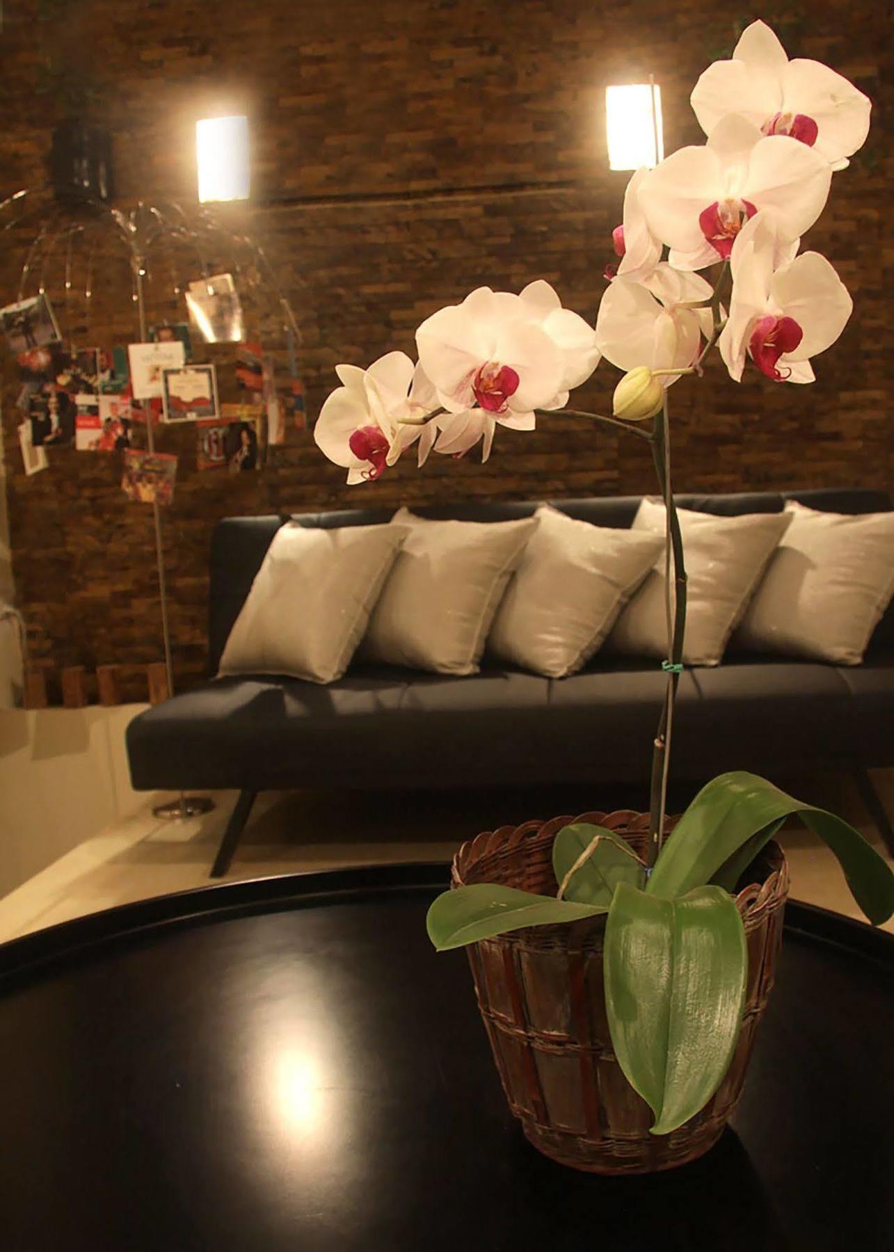 6 Suites Hotel Μπογκοτά Εξωτερικό φωτογραφία